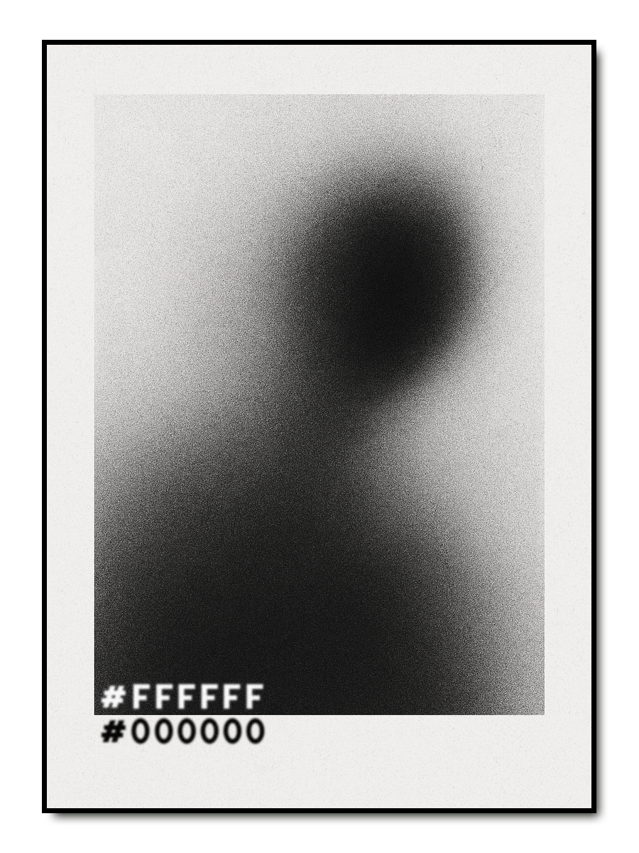 Black n' White Poster