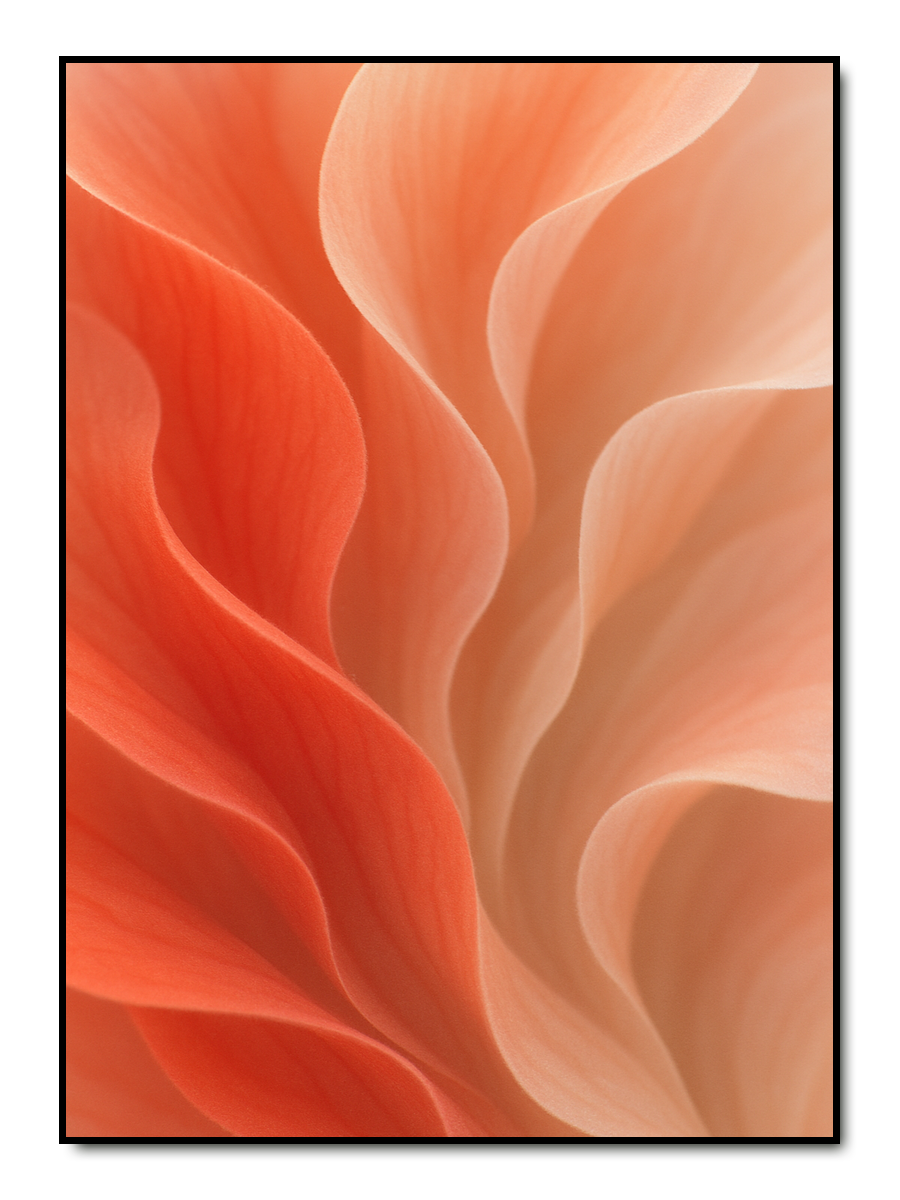 Zarte Wellen der Natur - Leuchtendes Orange